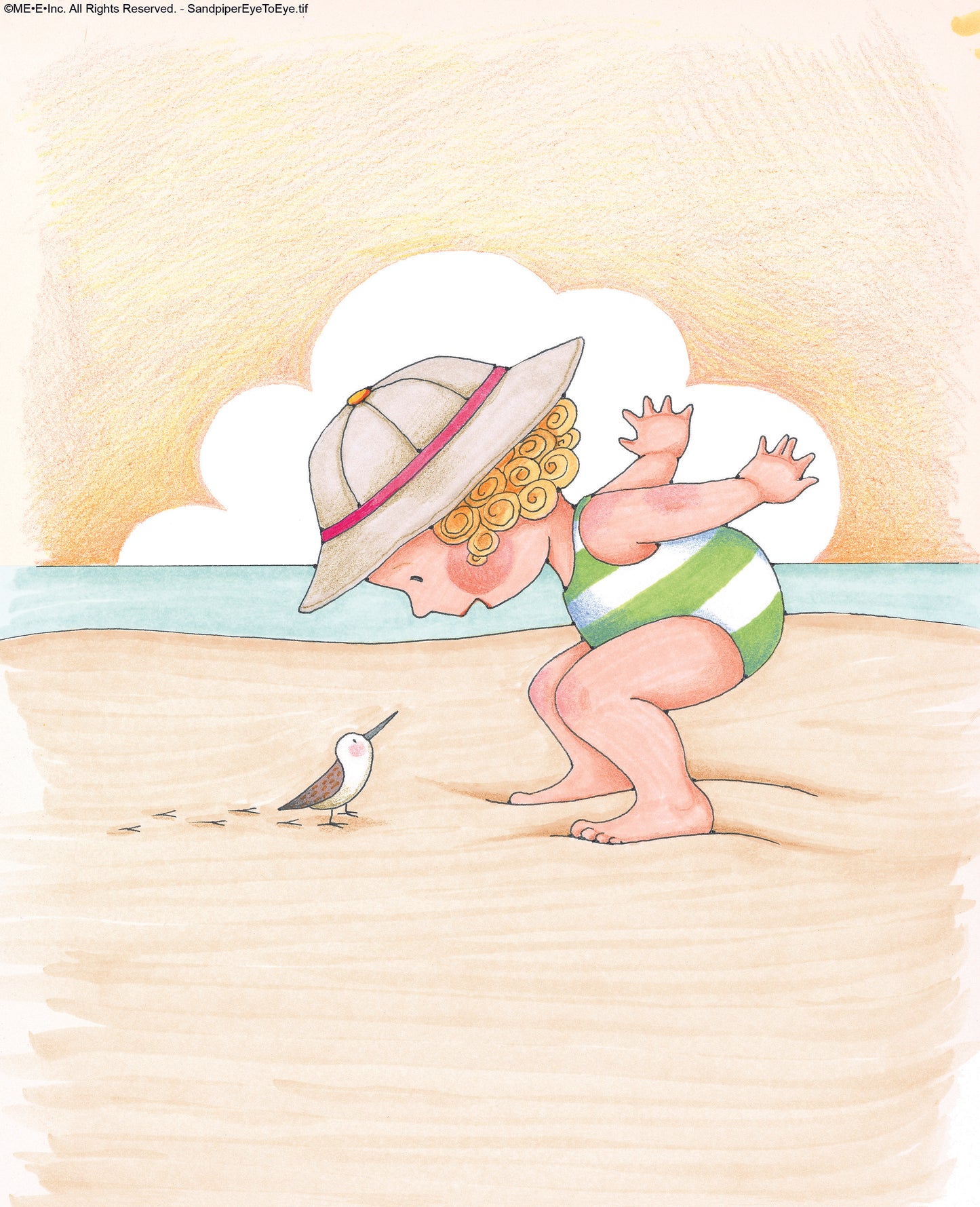 Sandpiper Eye to Eye