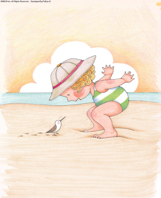 Sandpiper Eye to Eye